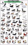 Mac's Field Guide to Northwest Coast Waterbirds