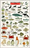 Mac's Field Guide to the Gulf Islands and San Juan Islands