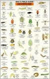 Mac's Field Guide