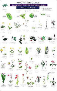 Mac's Field Guide to Mount Rainier National Park: Wild Flowers and Trees