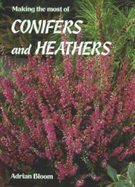 Making the Most of Conifers and Heathers