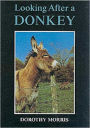 Looking after a Donkey