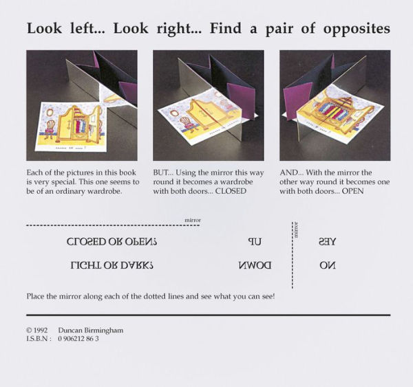 Look Twice: Use the Mirror to Find Pairs of Opposites