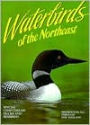 Waterbirds of the Northeast