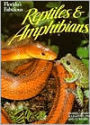 Florida's Fabulous Reptiles and Amphibians / Edition 1