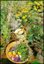 Seasonal Favorites From the Herbfarm