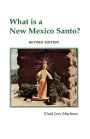 What Is a New Mexico Santo?: Religious Sculpture in New Mexico