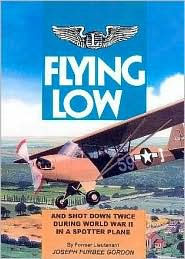 Flying Low: And Shot Down Twice during World War II in a Spotter Plane