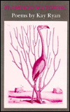 Flamingo Watching