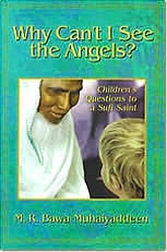 Why Can't I See the Angels?: Children's Questions to a Sufi Saint