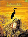 Everglades: The Story Behind the Scenery
