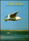 Cape Cod: The Story Behind the Scenery