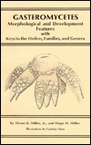 Gasteromycetes: Morphological and Developmental Features
