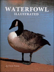 Title: Waterfowl Illustrated, Author: Tricia Veasey