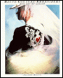 Haute Couture Embroidery: The Art of Lesage