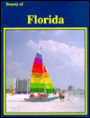 Beauty of Florida