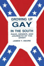 Growing Up Gay in the South: Race, Gender, and Journeys of the Spirit