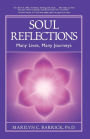 Soul Reflections: Many Lives, Many Journeys