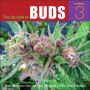 The Big Book of Buds: More Marijuana Varieties from the World's Great Seed Breeders