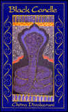Black Candle: Poems about Women from India, Pakistan, and Bangladesh