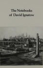The Notebooks of David Ignatow