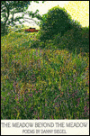 The Meadow beyond the Meadow: Poems
