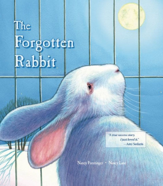 The Forgotten Rabbit