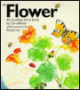 The Flower