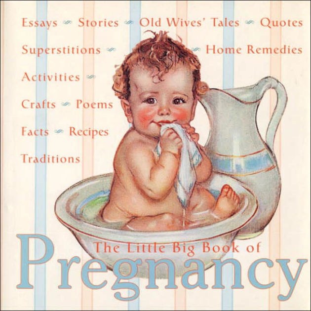 The Little Big Book of Pregnancy by Katrina Fried, Hardcover Barnes