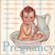 Title: The Little Big Book of Pregnancy, Author: Katrina Fried