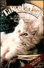 Tale of a Cat: A Journal about the Life and Good Times of Your Feline Friend