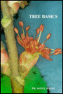Tree Basics: What Every Person Needs to Know about Trees