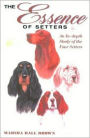 The Setters: A Comprehensive Look at the English, Gordon, Irish and the Red and White Breeds