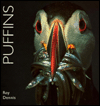 Puffins