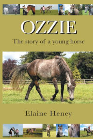 Title: Ozzie - The story of a young horse, Author: Elaine Heney