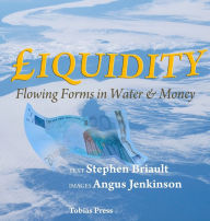 Title: Liquidity: Flowing Forms in Water and Money, Author: Stephen Briault