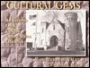 Cultural Gems: An Eclectic Look at Unique United States Libraries