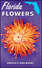 Florida Flowers: Annuals and Bulbs