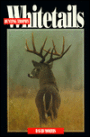 Hunting Trophy Whitetails