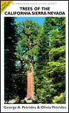 Trees of the California Sierra Nevada