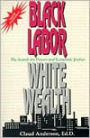Black Labor, White Wealth: The Search for Power and Economic Justice / Edition 2