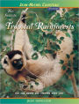 Secrets of Tropical Rainforests: Hot and Humid and Teeming with Life