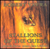 Stallions of the Quest