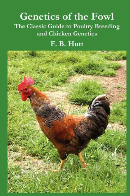 Genetics Of The Fowl: The Classic Guide To Poultry Breeding And Chicken ...