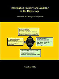 Information Security and Auditing in the Digital Age: A Practical Managerial Perspective / Edition 1