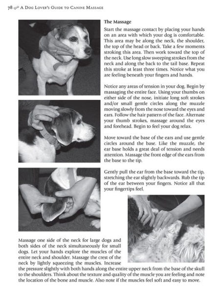 A Dog Lover's Guide to Canine Massage