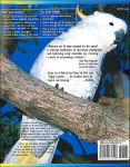 Alternative view 2 of A Rainbow of Parrots