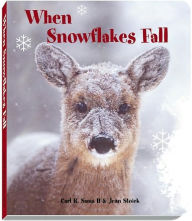When Snowflakes Fall