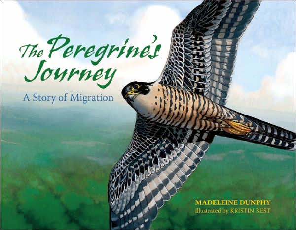 The Peregrine's Journey: A Story of Migration