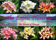 Exotic Plumeria a Pictorial: The Flower of Hawaii: Volume 1